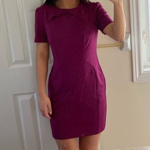 Magenta Short Sleeved Banana Republic Dress